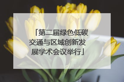 第二届绿色低碳交通与区域创新发展学术会议举行