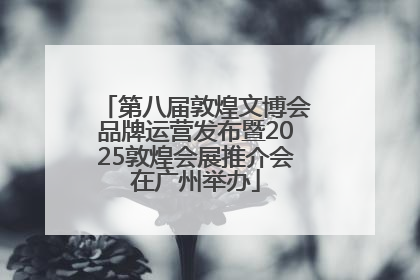 第八届敦煌文博会品牌运营发布暨2025敦煌会展推介会在广州举办