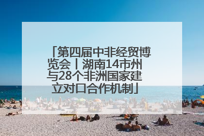 第四届中非经贸博览会丨湖南14市州与28个非洲国家建立对口合作机制