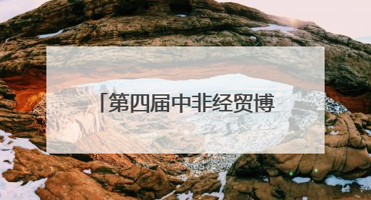 第四届中非经贸博览会非洲外宾代表团考察中伟宁乡基地