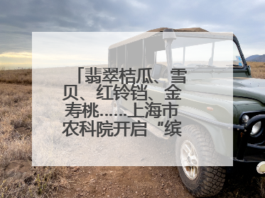 翡翠桔瓜、雪贝、红铃铛、金寿桃……上海市农科院开启“缤纷蔬菜之约”
