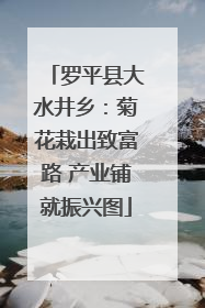 罗平县大水井乡：菊花栽出致富路 产业铺就振兴图