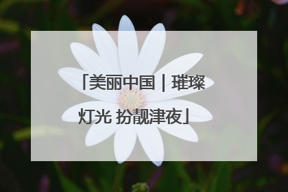 美丽中国｜璀璨灯光 扮靓津夜
