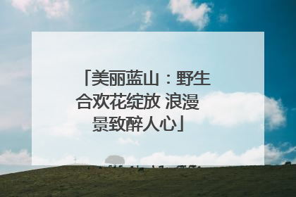 美丽蓝山：野生合欢花绽放 浪漫景致醉人心