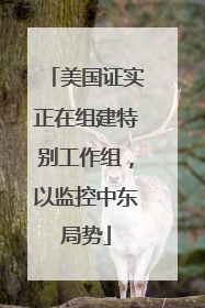 美国证实正在组建特别工作组，以监控中东局势