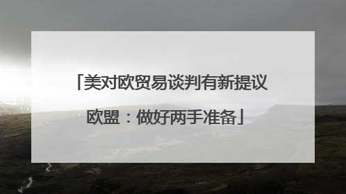 美对欧贸易谈判有新提议 欧盟：做好两手准备