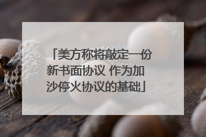美方称将敲定一份新书面协议 作为加沙停火协议的基础