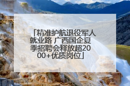 精准护航退役军人就业路 广西国企夏季招聘会释放超2000+优质岗位