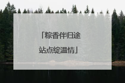 粽香伴归途 站点绽温情