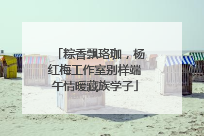 粽香飘珞珈，杨红梅工作室别样端午情暖藏族学子