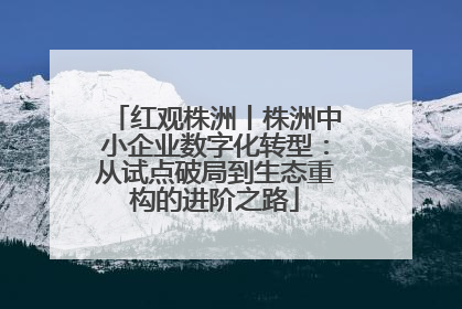 红观株洲丨株洲中小企业数字化转型：从试点破局到生态重构的进阶之路