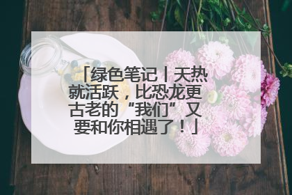 绿色笔记丨天热就活跃，比恐龙更古老的“我们”又要和你相遇了！