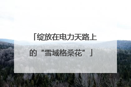 绽放在电力天路上的“雪域格桑花”