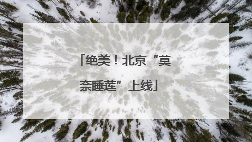 绝美！北京“莫奈睡莲”上线