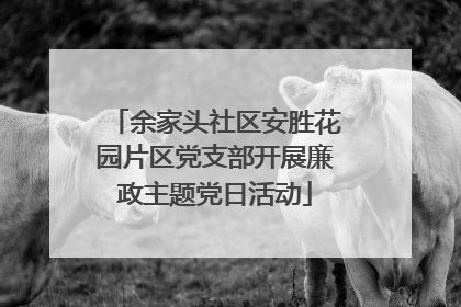 余家头社区安胜花园片区党支部开展廉政主题党日活动