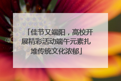 佳节又端阳，高校开展精彩活动端午元素扎堆传统文化浓郁