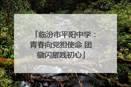 临汾市平阳中学：青春向党担使命 团徽闪耀践初心