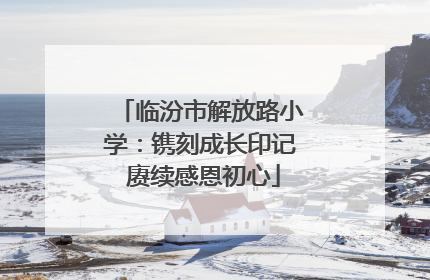 临汾市解放路小学：镌刻成长印记 赓续感恩初心