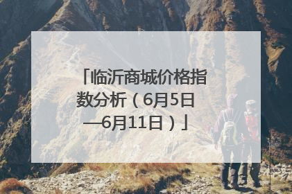 临沂商城价格指数分析（6月5日—6月11日）
