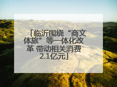 临沂围绕“商文体旅”等一体化改革 带动相关消费2.1亿元