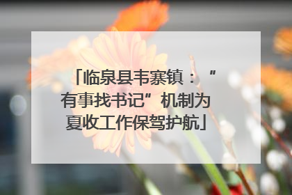 临泉县韦寨镇：“有事找书记”机制为夏收工作保驾护航