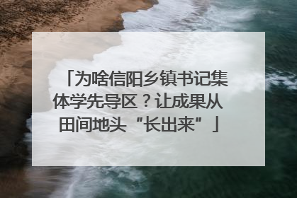 为啥信阳乡镇书记集体学先导区？让成果从田间地头“长出来”