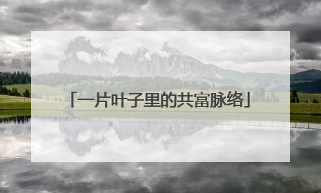 一片叶子里的共富脉络
