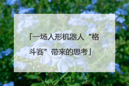 一场人形机器人“格斗赛”带来的思考