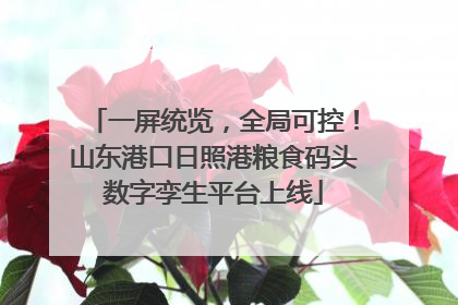 一屏统览，全局可控！山东港口日照港粮食码头数字孪生平台上线