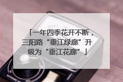 一年四季花开不断，三阳路“垂江绿廊”升级为“垂江花廊”