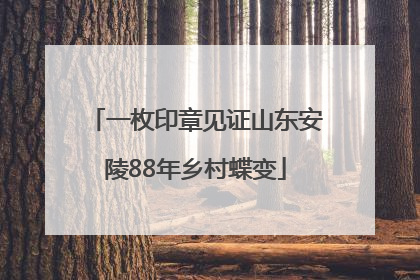 一枚印章见证山东安陵88年乡村蝶变