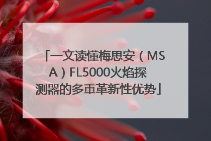一文读懂梅思安（MSA）FL5000火焰探测器的多重革新性优势