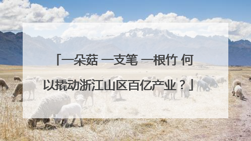 一朵菇 一支笔 一根竹 何以撬动浙江山区百亿产业？