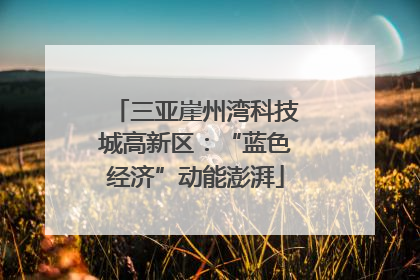 三亚崖州湾科技城高新区：“蓝色经济”动能澎湃