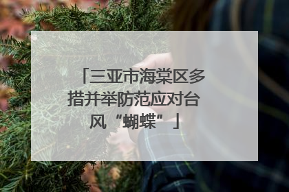 三亚市海棠区多措并举防范应对台风“蝴蝶”