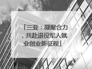 三亚：凝聚合力，共赴退役军人就业创业新征程