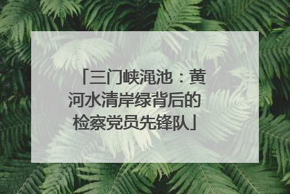 三门峡渑池：黄河水清岸绿背后的检察党员先锋队