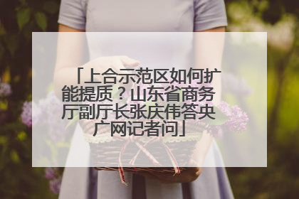 上合示范区如何扩能提质？山东省商务厅副厅长张庆伟答央广网记者问