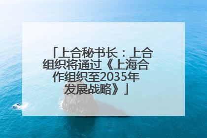 上合秘书长：上合组织将通过《上海合作组织至2035年发展战略》