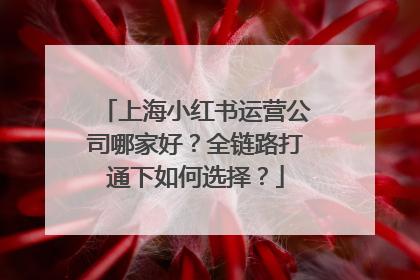 上海小红书运营公司哪家好？全链路打通下如何选择？