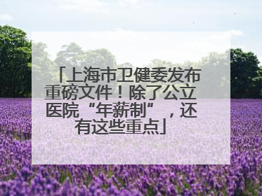 上海市卫健委发布重磅文件！除了公立医院“年薪制”，还有这些重点