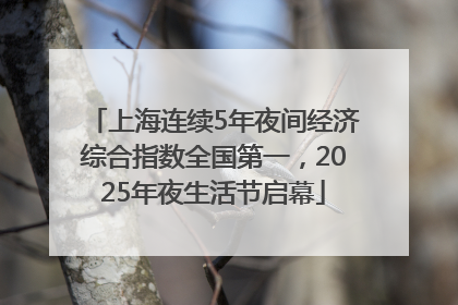 上海连续5年夜间经济综合指数全国第一，2025年夜生活节启幕