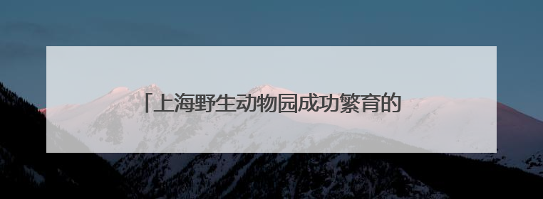 上海野生动物园成功繁育的两头非洲象宝宝与游客见面
