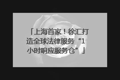上海首家！徐汇打造全球法律服务“1小时响应服务仓”