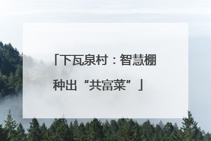 下瓦泉村：智慧棚种出“共富菜”