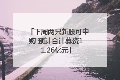 下周两只新股可申购 预计合计募资11.26亿元