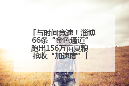 与时间竞速！淄博66条“金色通道”跑出156万亩夏粮抢收“加速度”