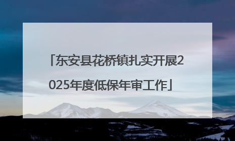 东安县花桥镇扎实开展2025年度低保年审工作