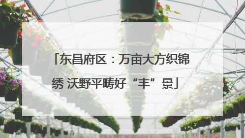 东昌府区：万亩大方织锦绣 沃野平畴好“丰”景