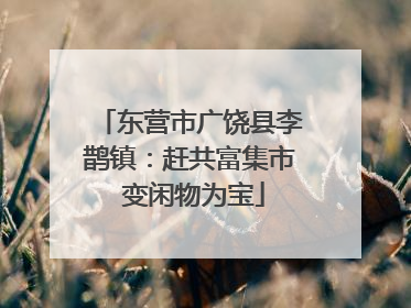 东营市广饶县李鹊镇：赶共富集市 变闲物为宝